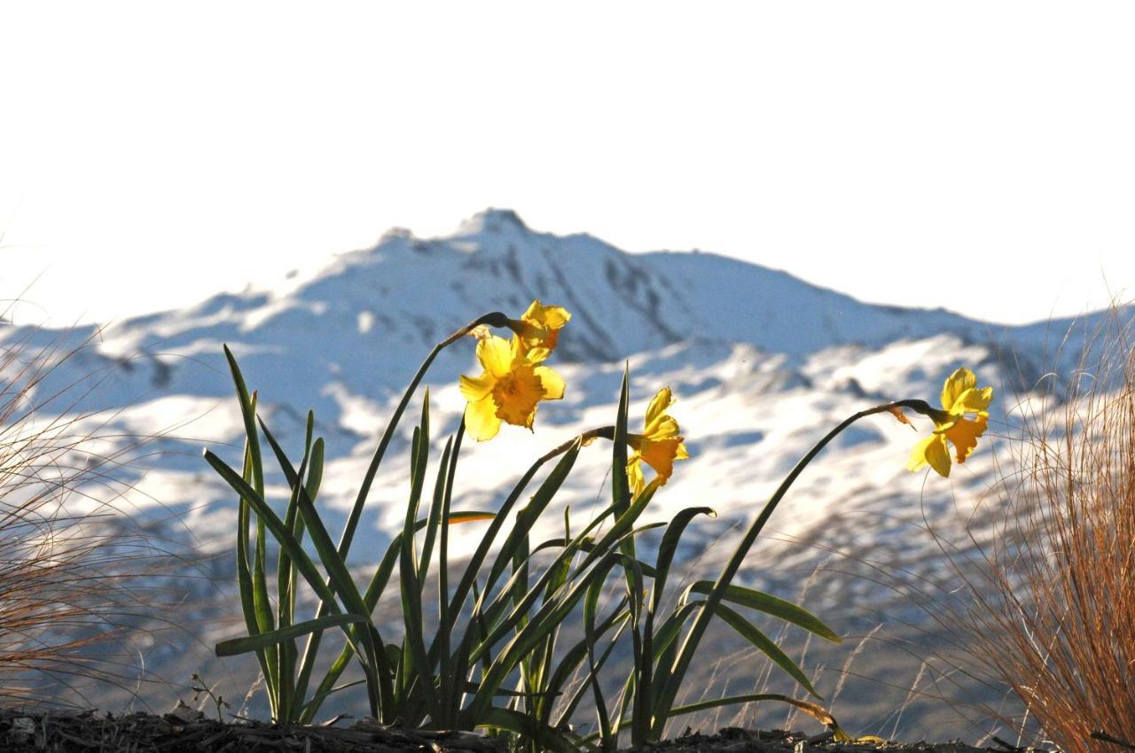 Hawkridge Alpine Suite Queenstown Eksteriør billede