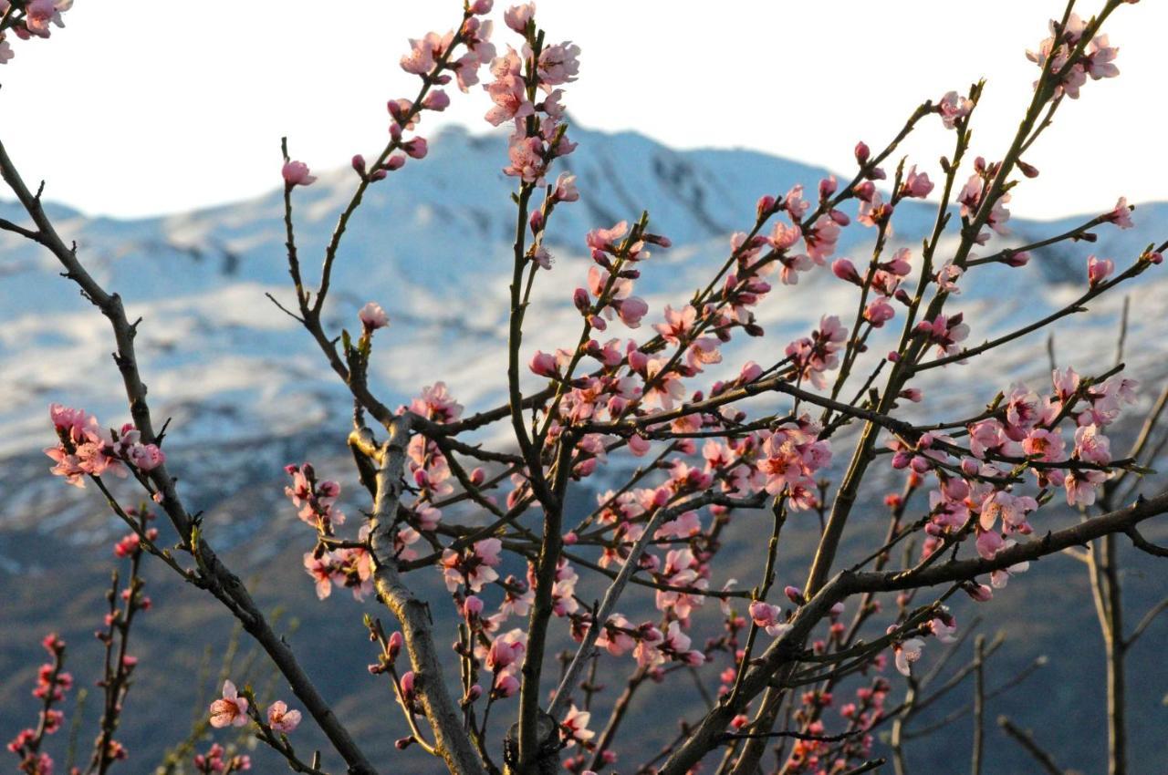 Hawkridge Alpine Suite Queenstown Eksteriør billede